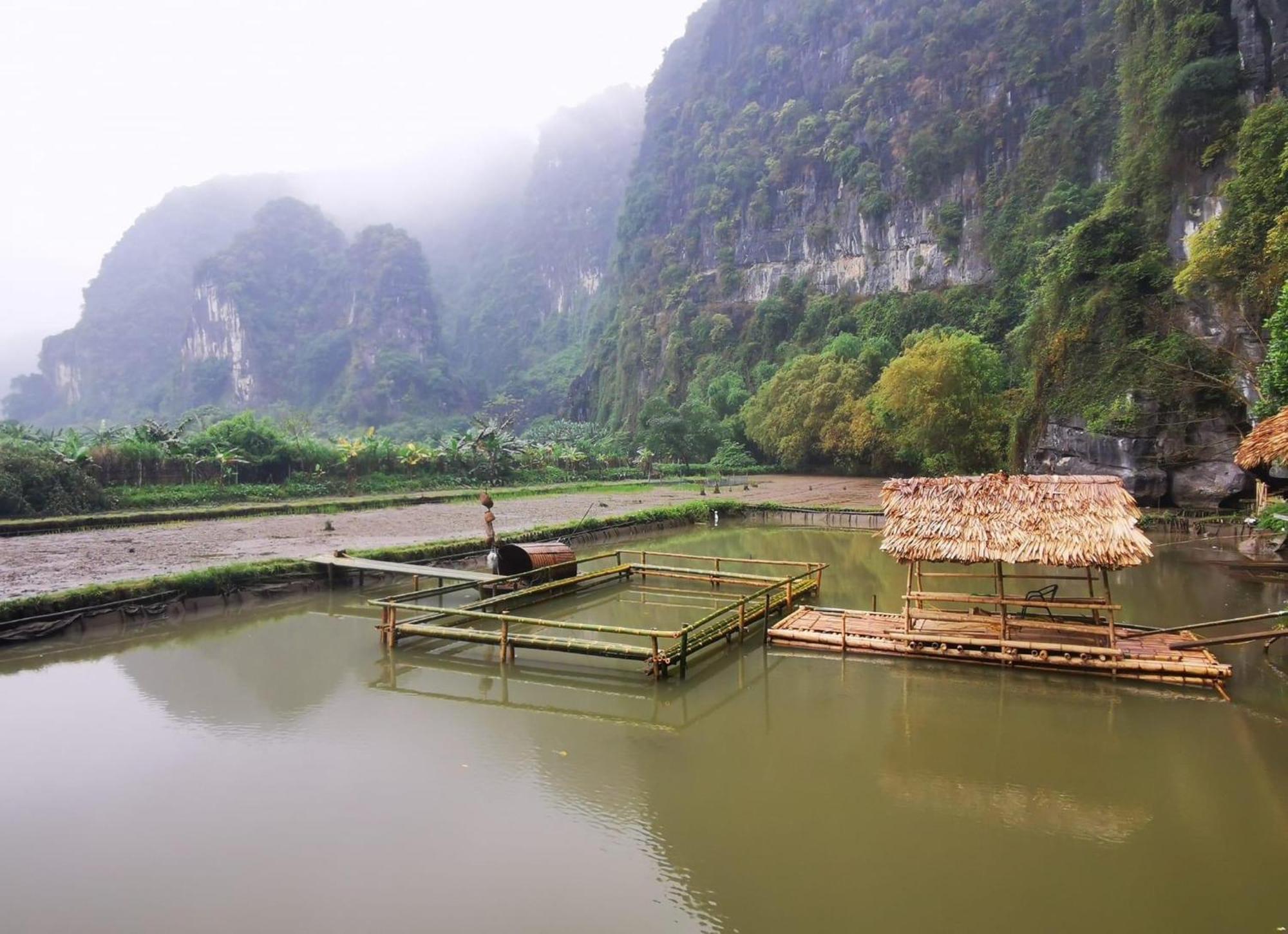 Truong Son Luxury Homestay Ninh Binh Eksteriør billede