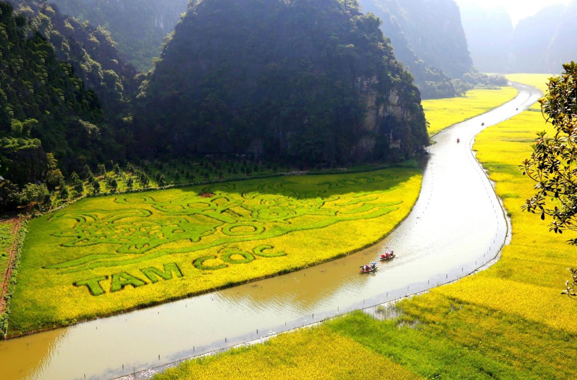 Truong Son Luxury Homestay Ninh Binh Eksteriør billede